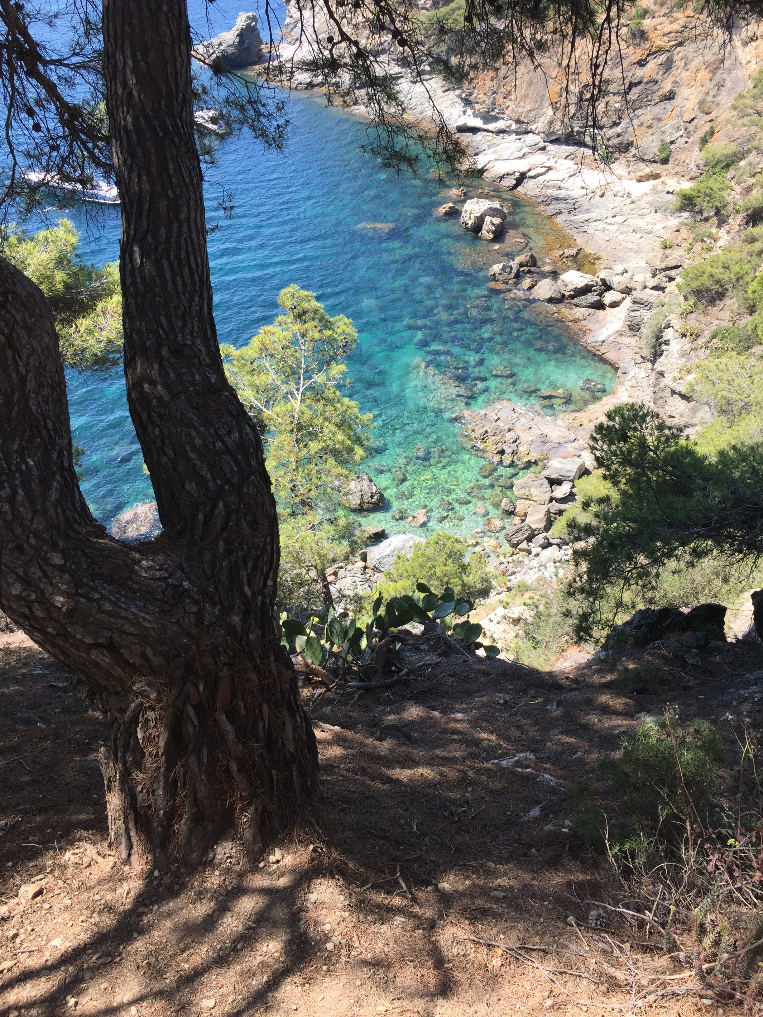Turquoise cove in Cap de Creus National Park